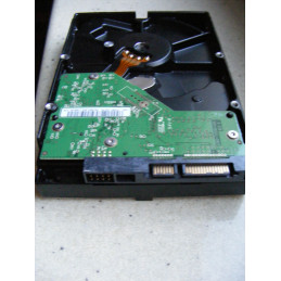 Dysk Western Digital Blue 160 GB 3,5"